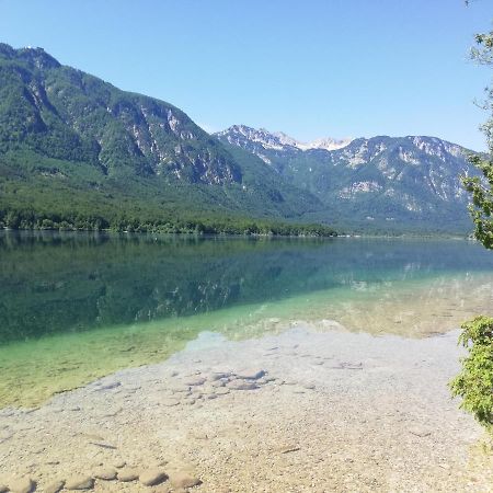 Apartment Mlakar Bohinj Bagian luar foto