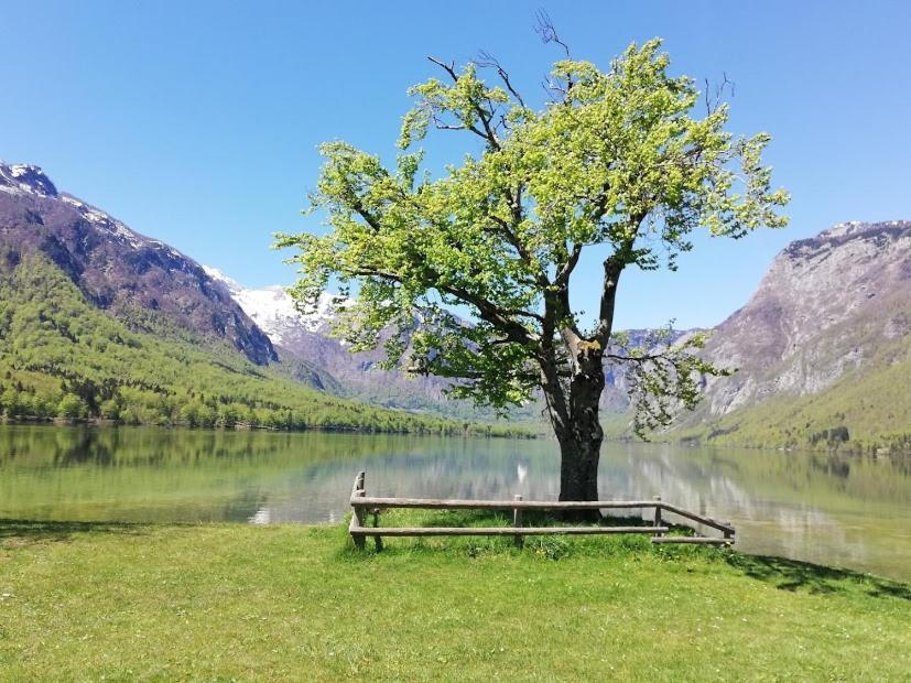 Apartment Mlakar Bohinj Bagian luar foto