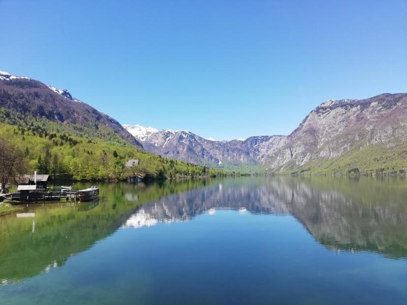 Apartment Mlakar Bohinj Bagian luar foto