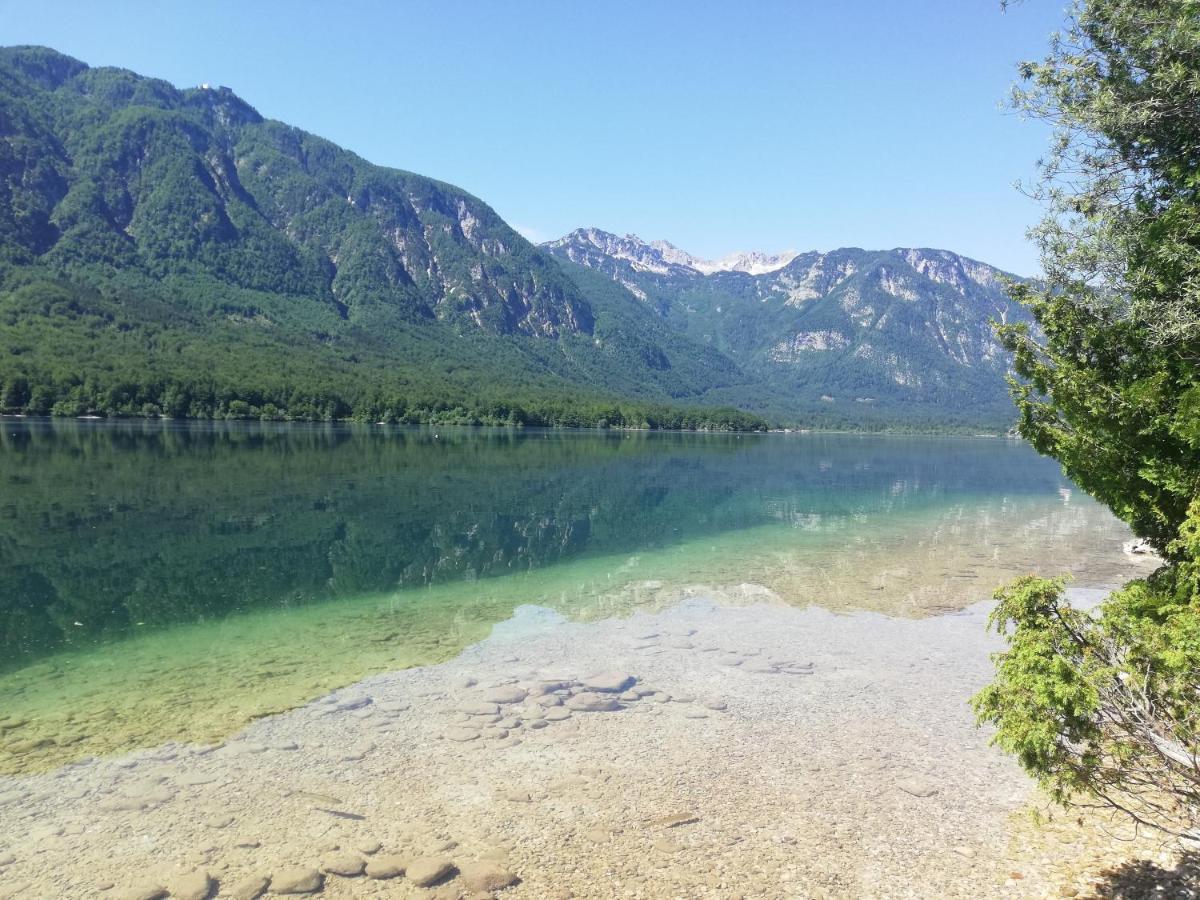 Apartment Mlakar Bohinj Bagian luar foto