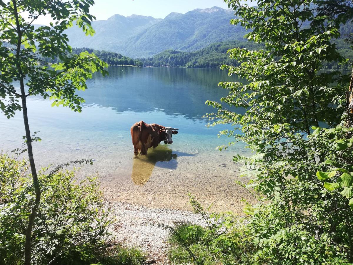 Apartment Mlakar Bohinj Bagian luar foto