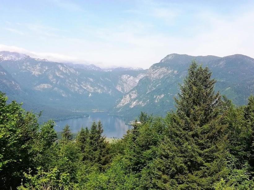 Apartment Mlakar Bohinj Bagian luar foto