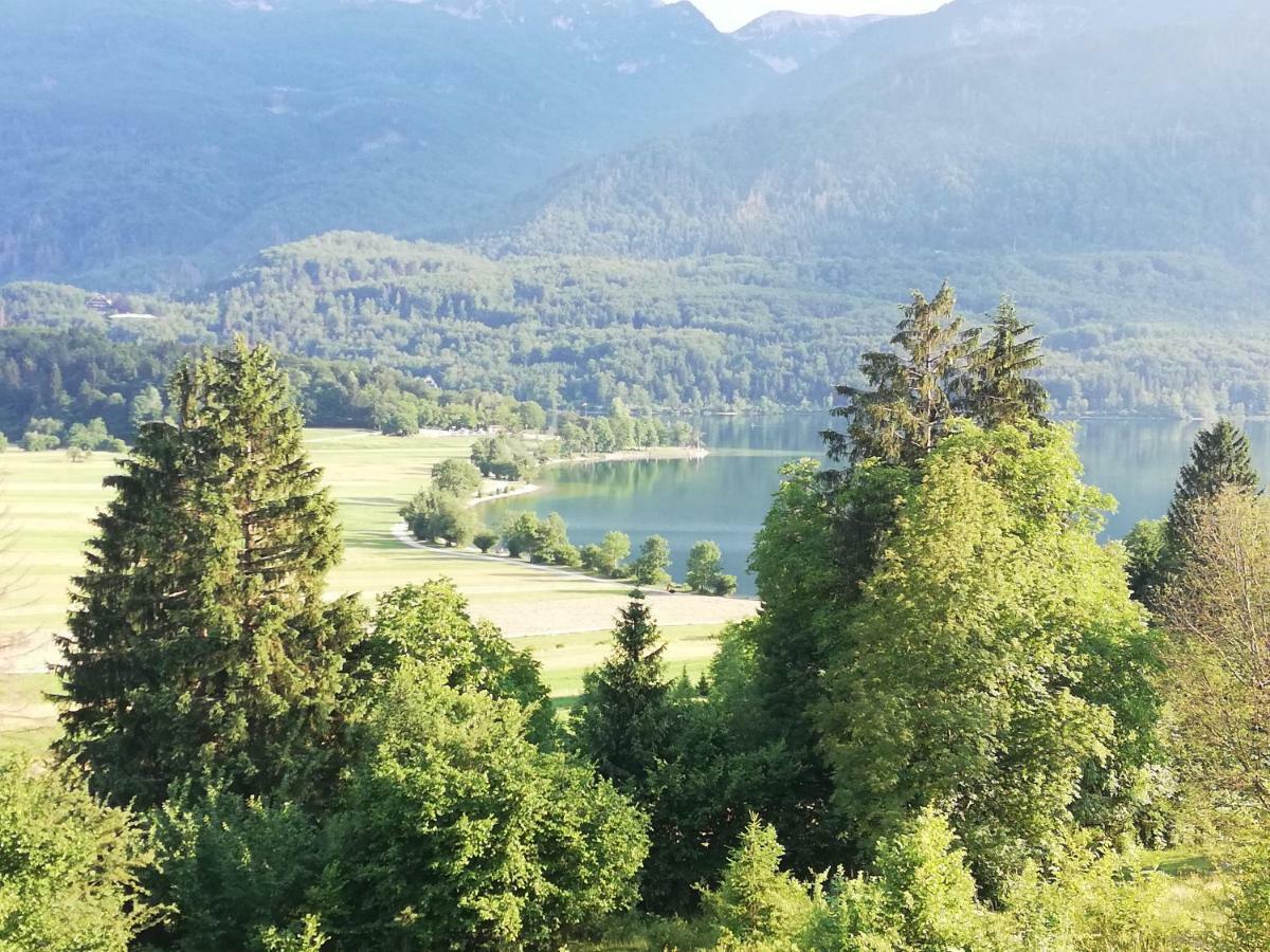 Apartment Mlakar Bohinj Bagian luar foto
