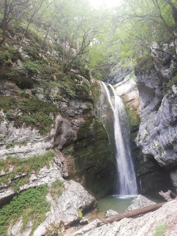 Apartment Mlakar Bohinj Bagian luar foto